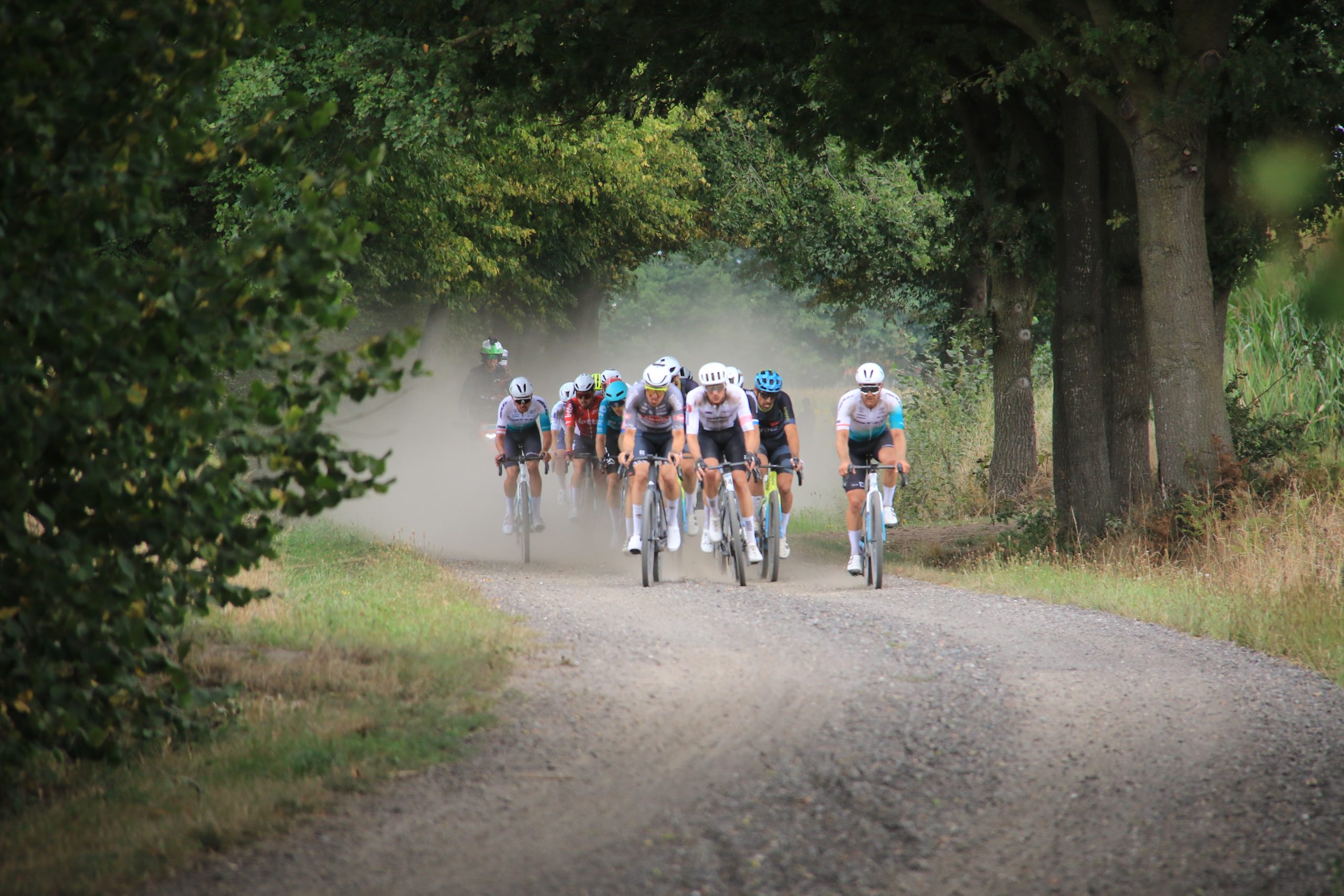 Bolero Turnhout Gravel opent zondag het nieuwe gravelseizoen, met Van Avermaet, Bakelants en De Gendt!