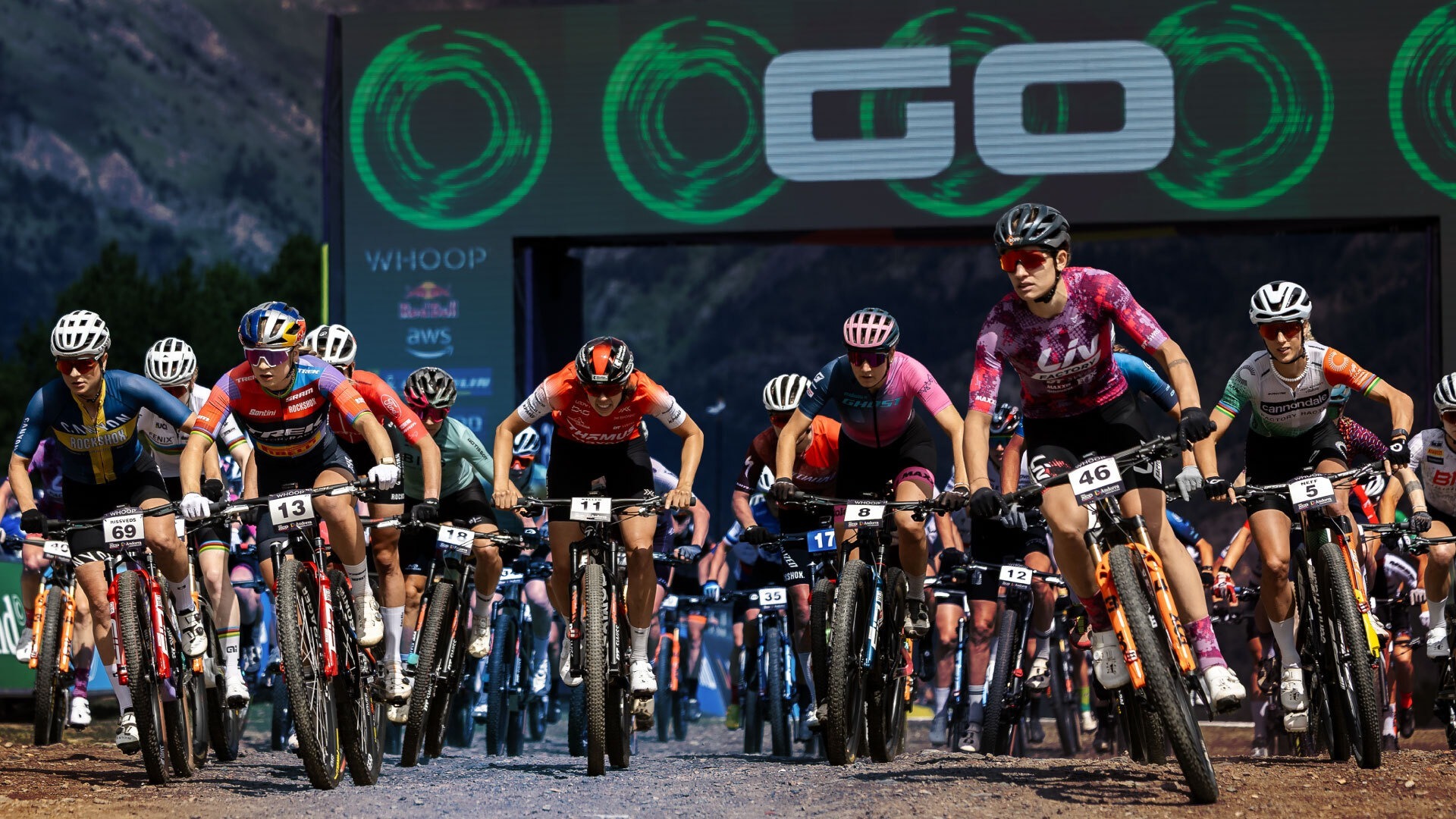 De nummers van de eliterenners downhill, cross-country en enduro in de wereldbekerraces zijn bekend