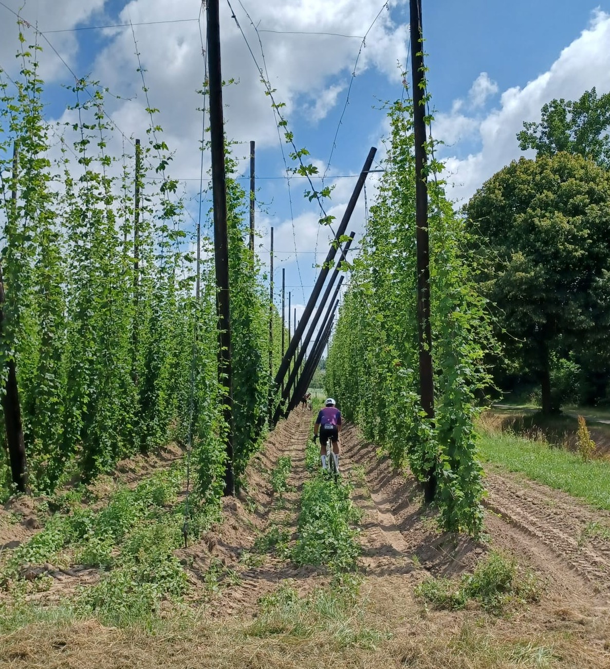 Gravalhalla op 23 augustus